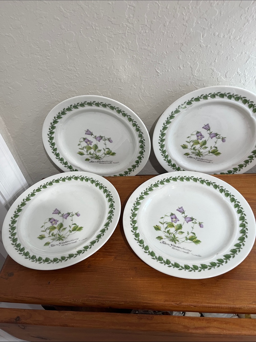 Scherzer Bavaria Germany Vintage Botanical Luncheon /Dessert / 7 3/4 inch (4)